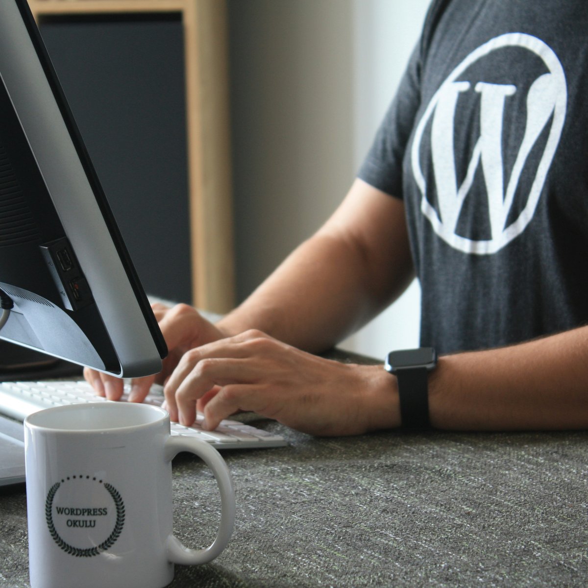 WordPress Maintenance Services